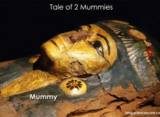 Tale of Two Mummies