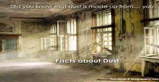 Did you know that dust is made from… you?