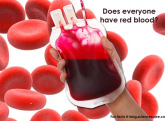 Does everyone have red blood?