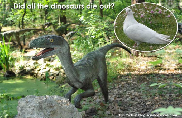 Did all the dinosaurs die out?