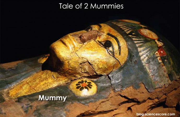 Tale of Two Mummies