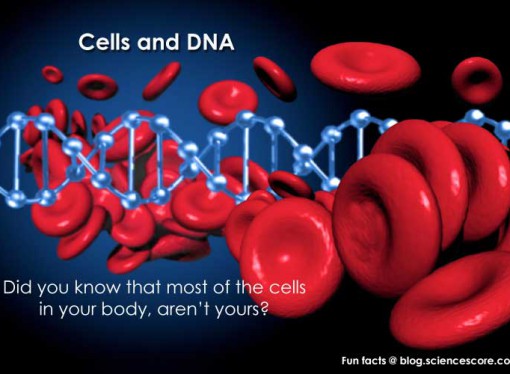 Did you know that most of the cells in your body aren’t yours?