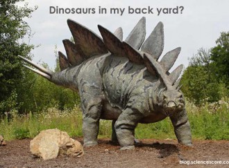 Dinosaurs in My Backyard
