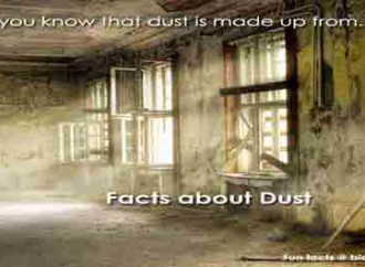 Did you know that dust is made from… you?