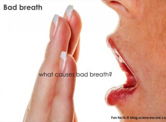 Why does our breath stink in the morning?