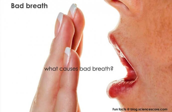 Why does our breath stink in the morning?