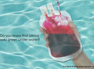 Did you know that your blood is green underwater?