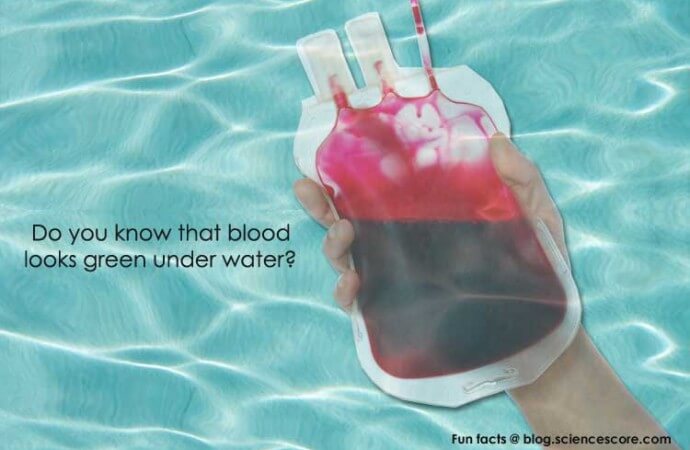 Did you know that your blood is green underwater?
