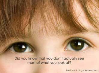 Did you know that you don’t  actually see most of what you look at?