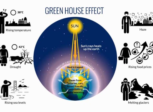 What is the green house effect?