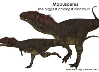 Which dinosaurs were the biggest?