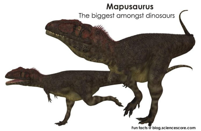 Which dinosaurs were the biggest?