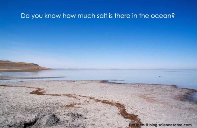 How much salt is in the oceans?