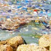 Plastics are dumped in ocean. what damage is it causing?