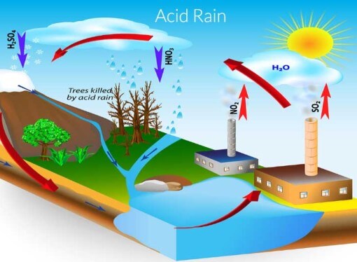 What causes acid rain?