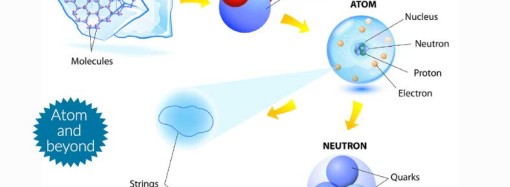 What is protein?