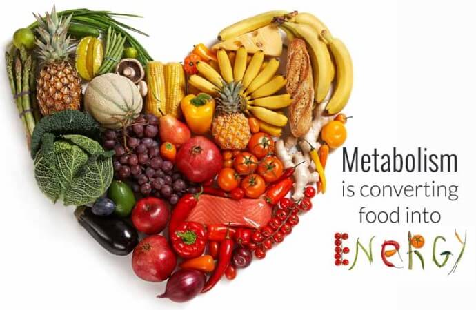 What is metabolism?