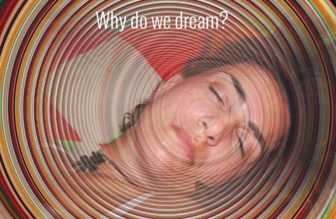 Why do we dream?